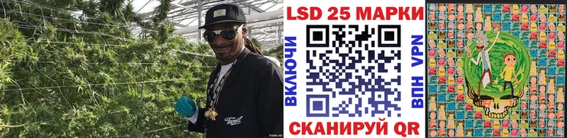 цена   Хвалынск  Марки 25I-NBOMe 1500мкг 