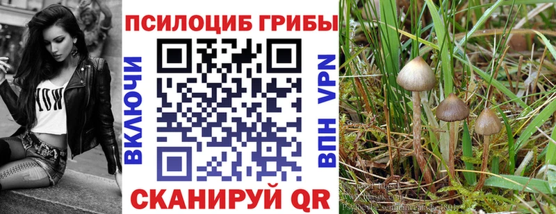 продажа наркотиков  Хвалынск  Галлюциногенные грибы прущие грибы 